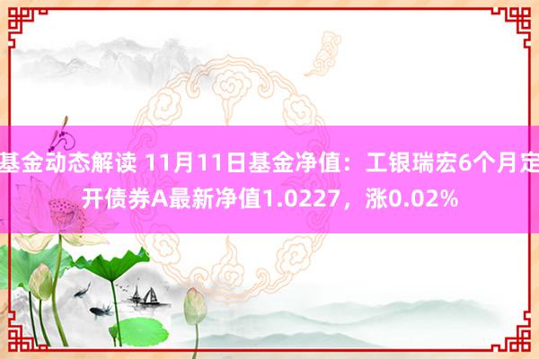 基金动态解读 11月11日基金净值：工银瑞宏6个月定开债券A最新净值1.0227，涨0.02%