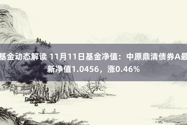 基金动态解读 11月11日基金净值：中原鼎清债券A最新净值1.0456，涨0.46%