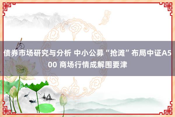 债券市场研究与分析 中小公募“抢滩”布局中证A500 商场行情成解围要津