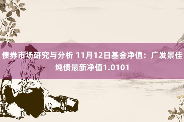 债券市场研究与分析 11月12日基金净值：广发景佳纯债最新净值1.0101