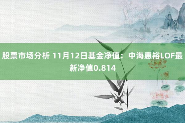 股票市场分析 11月12日基金净值：中海惠裕LOF最新净值0.814