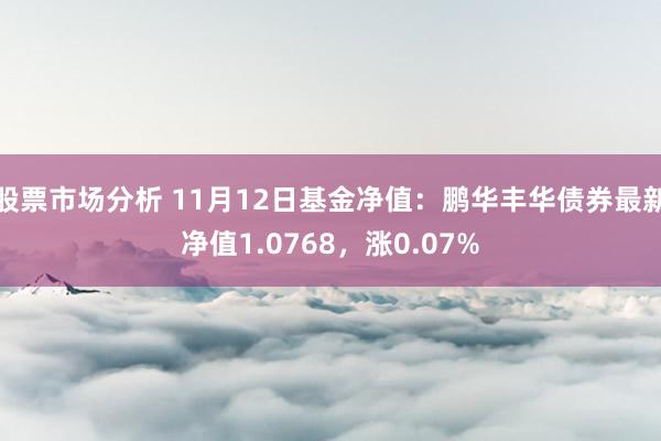 股票市场分析 11月12日基金净值：鹏华丰华债券最新净值1.0768，涨0.07%