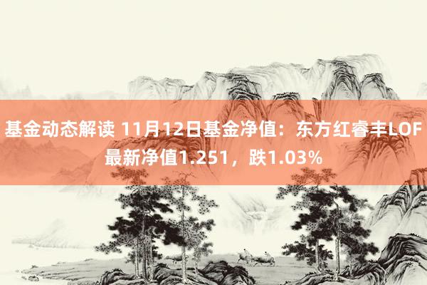 基金动态解读 11月12日基金净值：东方红睿丰LOF最新净值1.251，跌1.03%