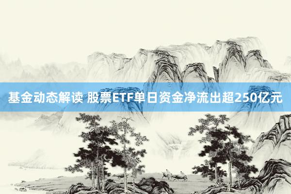 基金动态解读 股票ETF单日资金净流出超250亿元