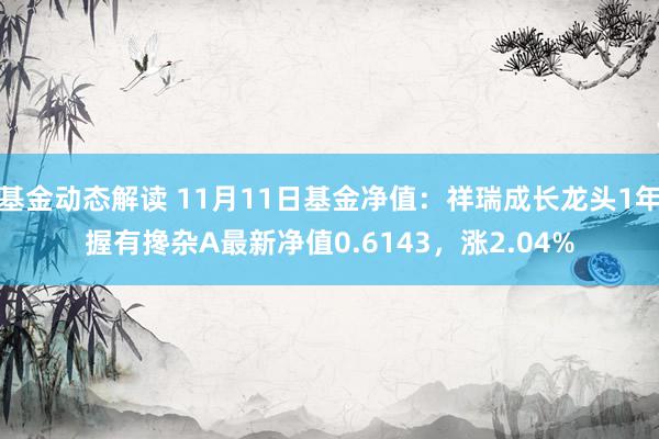 基金动态解读 11月11日基金净值：祥瑞成长龙头1年握有搀杂A最新净值0.6143，涨2.04%