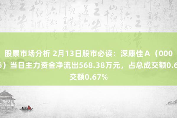 股票市场分析 2月13日股市必读：深康佳Ａ（000016）当日主力资金净流出568.38万元，占总成交额0.67%