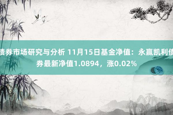 债券市场研究与分析 11月15日基金净值：永赢凯利债券最新净值1.0894，涨0.02%