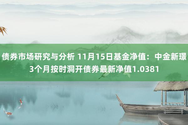 债券市场研究与分析 11月15日基金净值：中金新璟3个月按时洞开债券最新净值1.0381