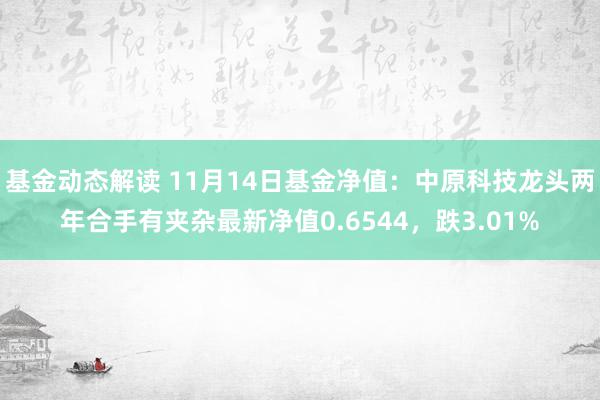 基金动态解读 11月14日基金净值：中原科技龙头两年合手有夹杂最新净值0.6544，跌3.01%