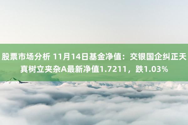 股票市场分析 11月14日基金净值：交银国企纠正天真树立夹杂A最新净值1.7211，跌1.03%