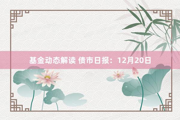 基金动态解读 债市日报：12月20日