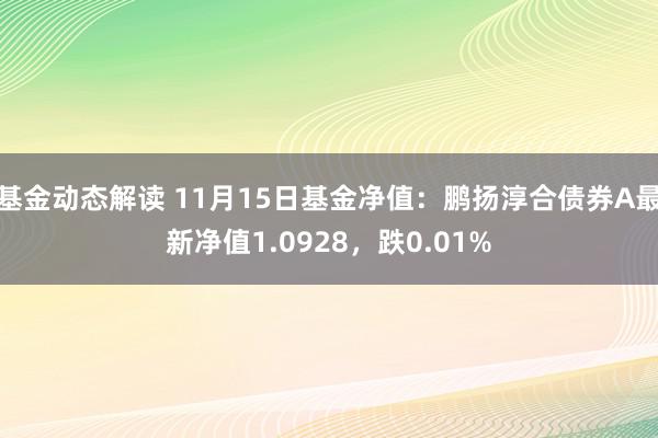 基金动态解读 11月15日基金净值：鹏扬淳合债券A最新净值1.0928，跌0.01%