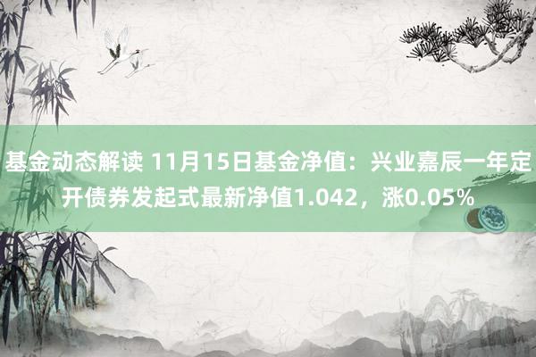 基金动态解读 11月15日基金净值：兴业嘉辰一年定开债券发起式最新净值1.042，涨0.05%