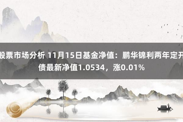 股票市场分析 11月15日基金净值：鹏华锦利两年定开债最新净值1.0534，涨0.01%