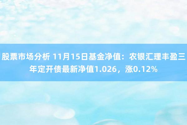 股票市场分析 11月15日基金净值：农银汇理丰盈三年定开债最新净值1.026，涨0.12%