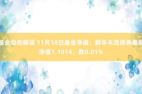 基金动态解读 11月18日基金净值：鹏华丰茂债券最新净值1.1014，跌0.01%