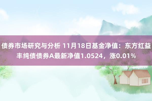 债券市场研究与分析 11月18日基金净值：东方红益丰纯债债券A最新净值1.0524，涨0.01%