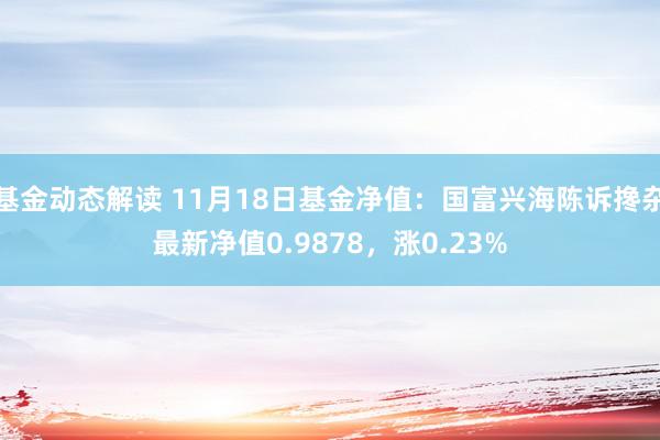 基金动态解读 11月18日基金净值：国富兴海陈诉搀杂最新净值0.9878，涨0.23%