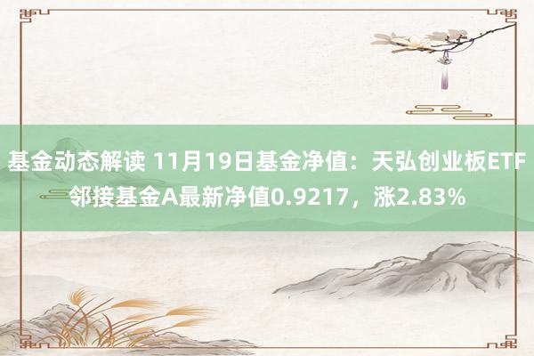 基金动态解读 11月19日基金净值：天弘创业板ETF邻接基金A最新净值0.9217，涨2.83%