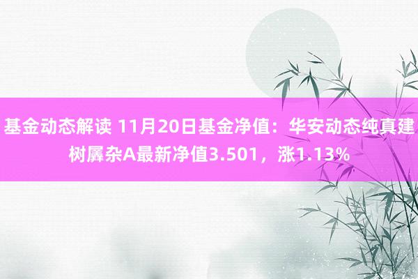 基金动态解读 11月20日基金净值：华安动态纯真建树羼杂A最新净值3.501，涨1.13%