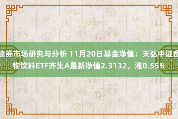 债券市场研究与分析 11月20日基金净值：天弘中证食物饮料ETF齐集A最新净值2.3132，涨0.55%