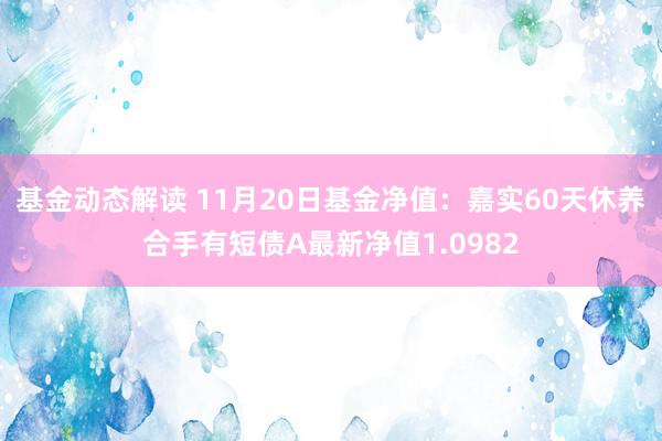 基金动态解读 11月20日基金净值：嘉实60天休养合手有短债A最新净值1.0982