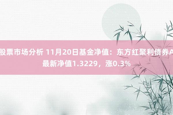 股票市场分析 11月20日基金净值：东方红聚利债券A最新净值1.3229，涨0.3%