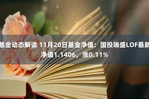 基金动态解读 11月20日基金净值：国投瑞盛LOF最新净值1.1406，涨0.11%