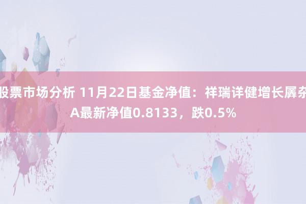 股票市场分析 11月22日基金净值：祥瑞详健增长羼杂A最新净值0.8133，跌0.5%