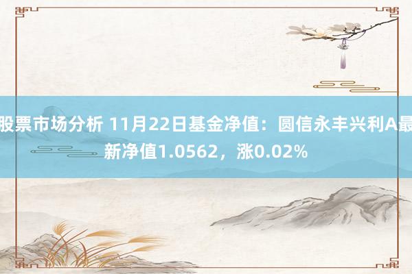 股票市场分析 11月22日基金净值：圆信永丰兴利A最新净值1.0562，涨0.02%