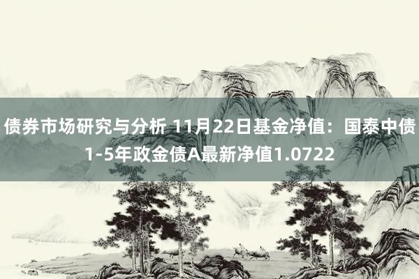 债券市场研究与分析 11月22日基金净值：国泰中债1-5年政金债A最新净值1.0722