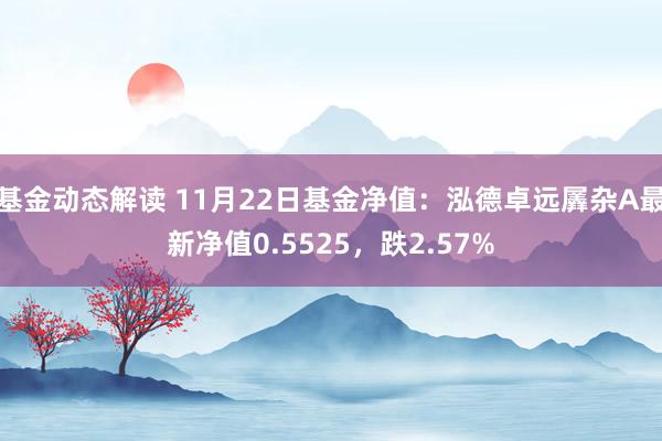 基金动态解读 11月22日基金净值：泓德卓远羼杂A最新净值0.5525，跌2.57%