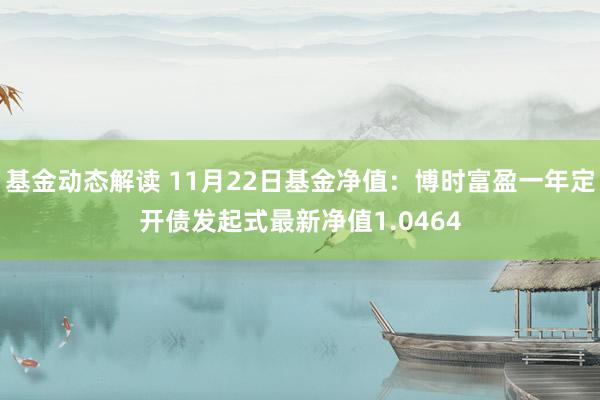 基金动态解读 11月22日基金净值：博时富盈一年定开债发起式最新净值1.0464