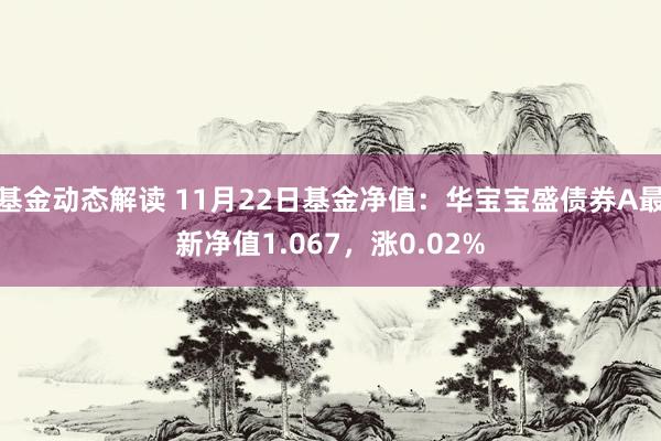 基金动态解读 11月22日基金净值：华宝宝盛债券A最新净值1.067，涨0.02%