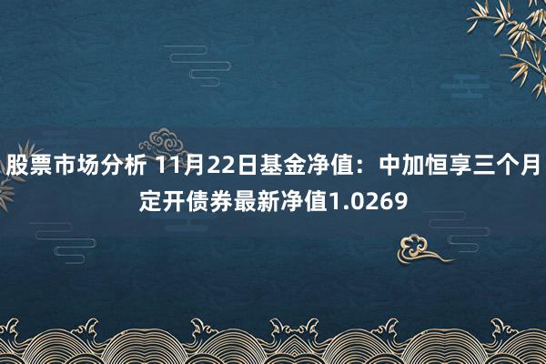 股票市场分析 11月22日基金净值：中加恒享三个月定开债券最新净值1.0269