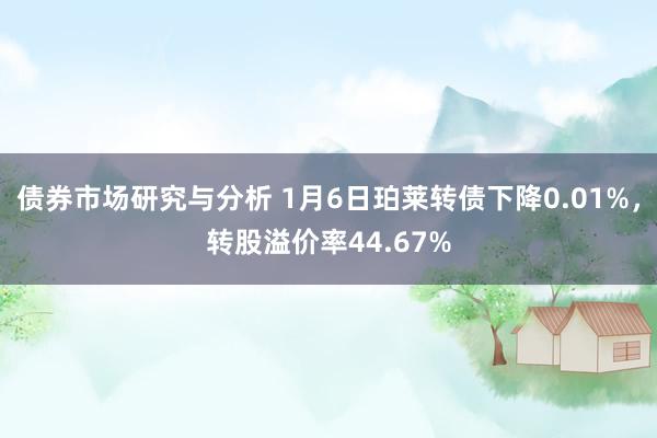 债券市场研究与分析 1月6日珀莱转债下降0.01%，转股溢价率44.67%