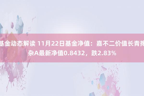 基金动态解读 11月22日基金净值：嘉不二价值长青搀杂A最新净值0.8432，跌2.83%