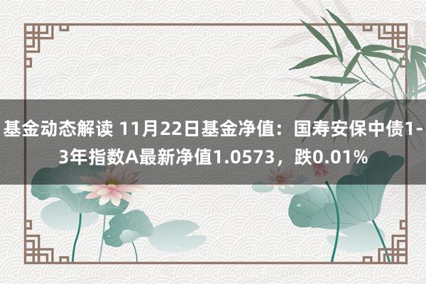 基金动态解读 11月22日基金净值：国寿安保中债1-3年指数A最新净值1.0573，跌0.01%