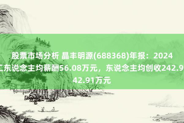 股票市场分析 晶丰明源(688368)年报：2024年职工东说念主均薪酬56.08万元，东说念主均创收242.91万元