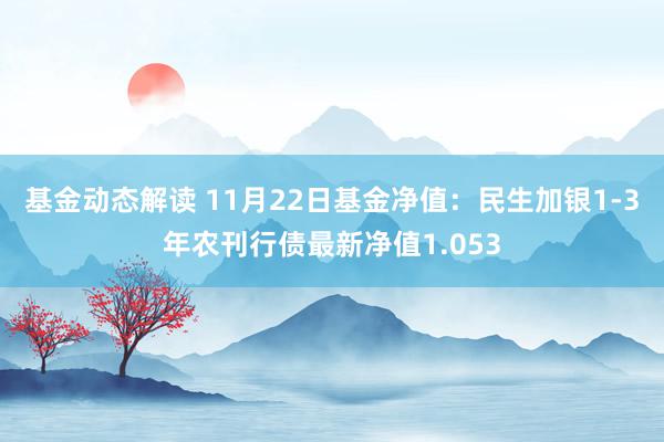 基金动态解读 11月22日基金净值：民生加银1-3年农刊行债最新净值1.053