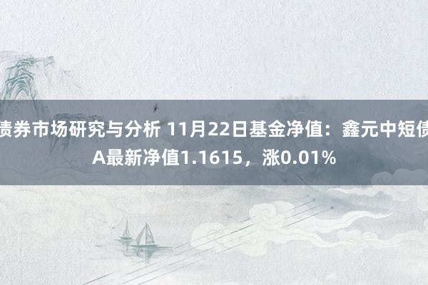 债券市场研究与分析 11月22日基金净值：鑫元中短债A最新净值1.1615，涨0.01%