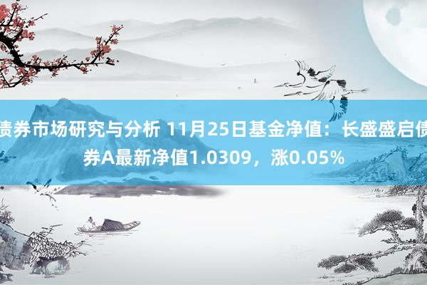 债券市场研究与分析 11月25日基金净值：长盛盛启债券A最新净值1.0309，涨0.05%