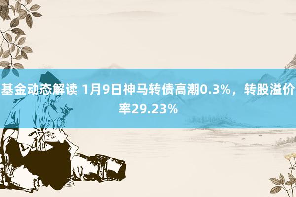 基金动态解读 1月9日神马转债高潮0.3%，转股溢价率29.23%